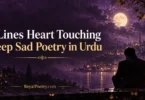 2 lines heart touching deep sad poetry in urdu