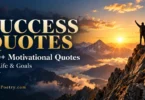 success quotes